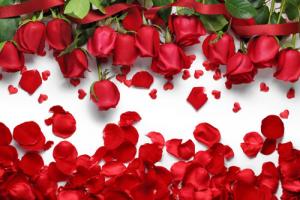 Лепестки и бутоны роз: как правильно и красиво засушить, а также использовать для украшения дома